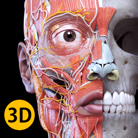 Анатомия — 3D Атлас v6.1.0 MOD (Полная версия)